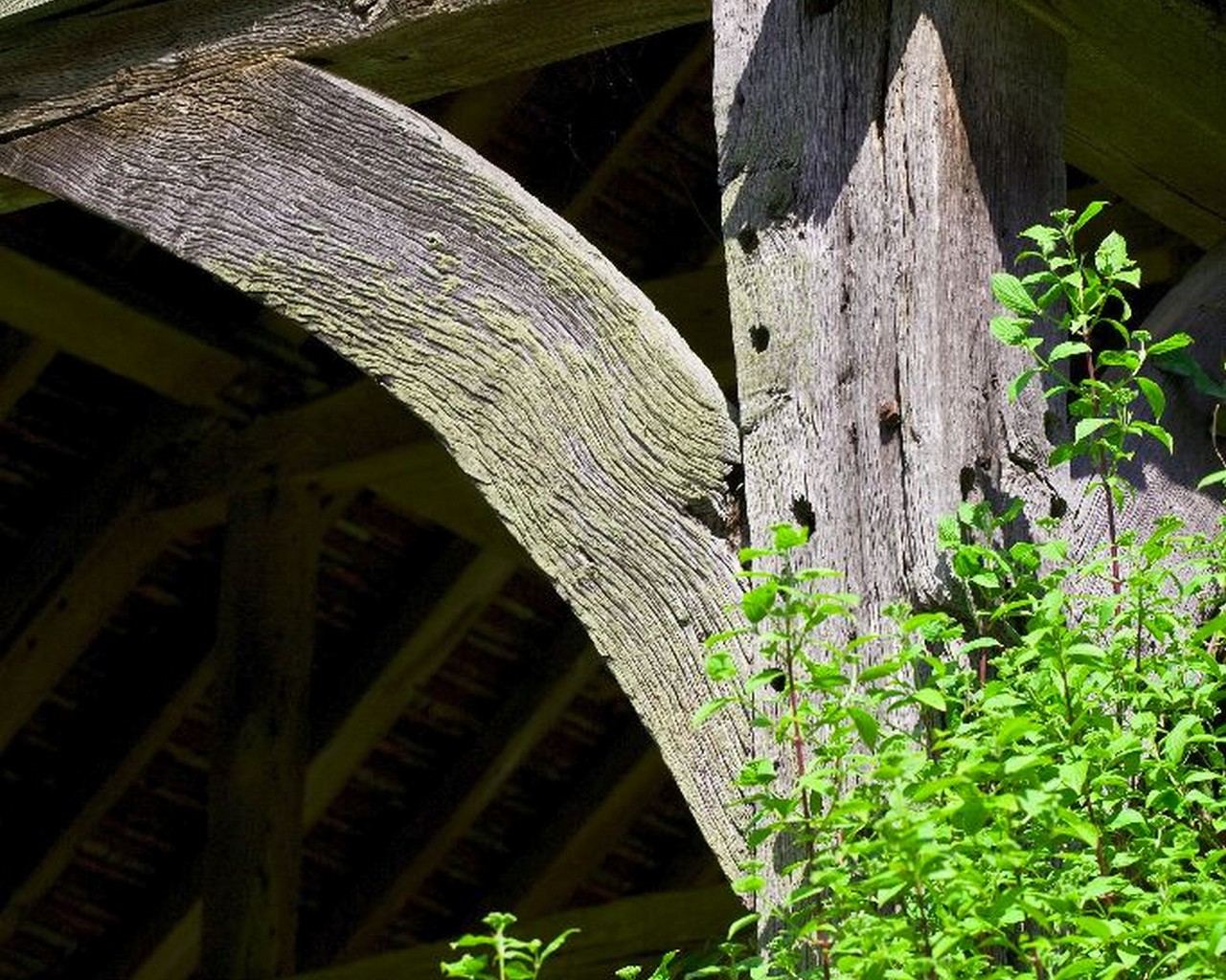 Willow Cottage: Ancient oak barn