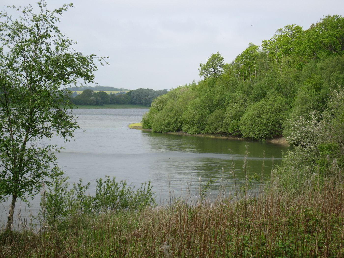 Bewl Water reservoir
