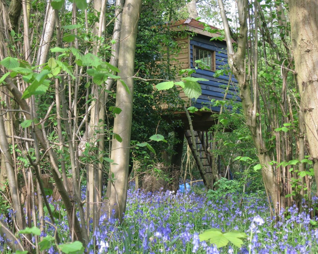 Willow Cottage: Hidden in the woods is the treehouse