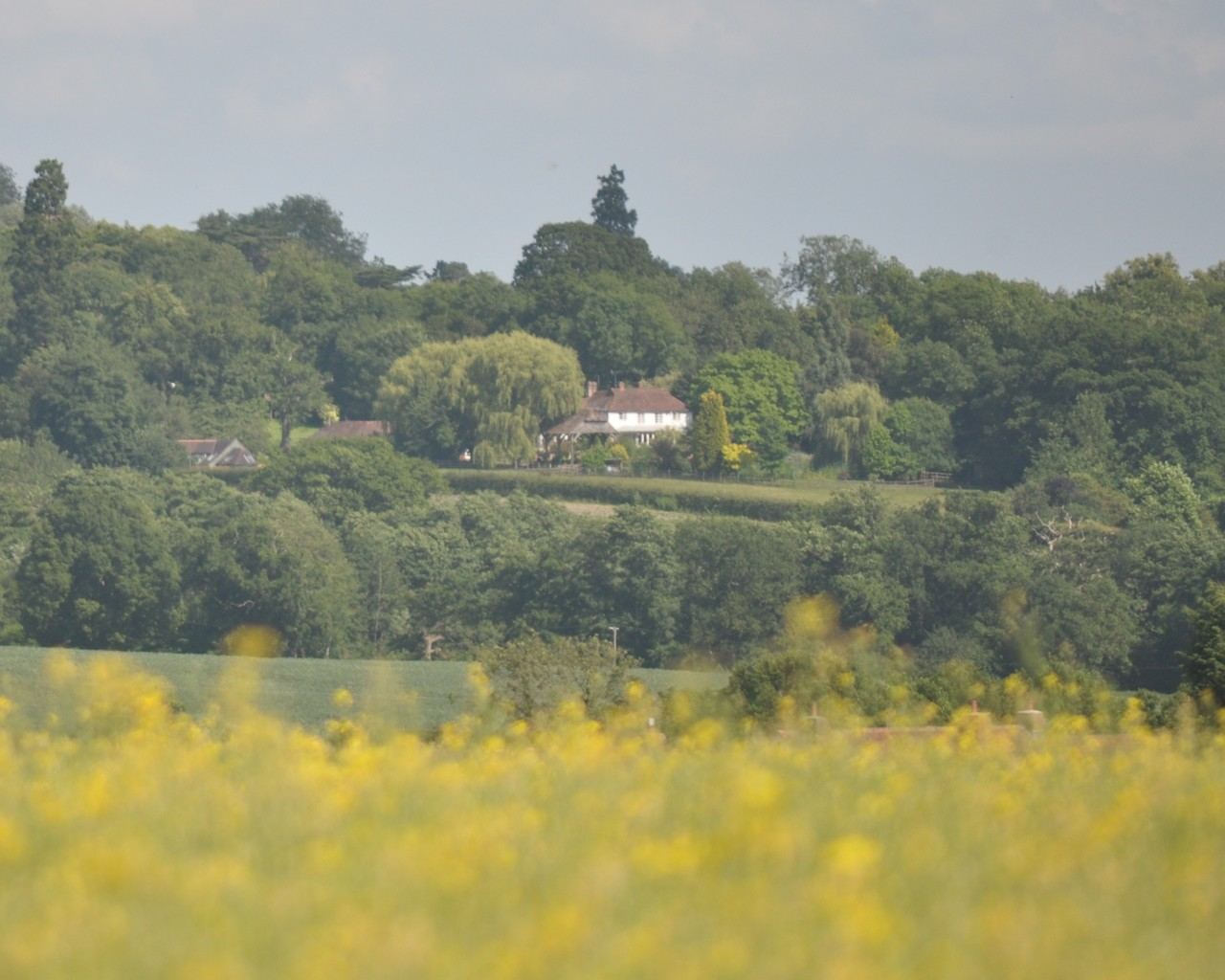 Hamptons Farmhouse in the Kent countryside