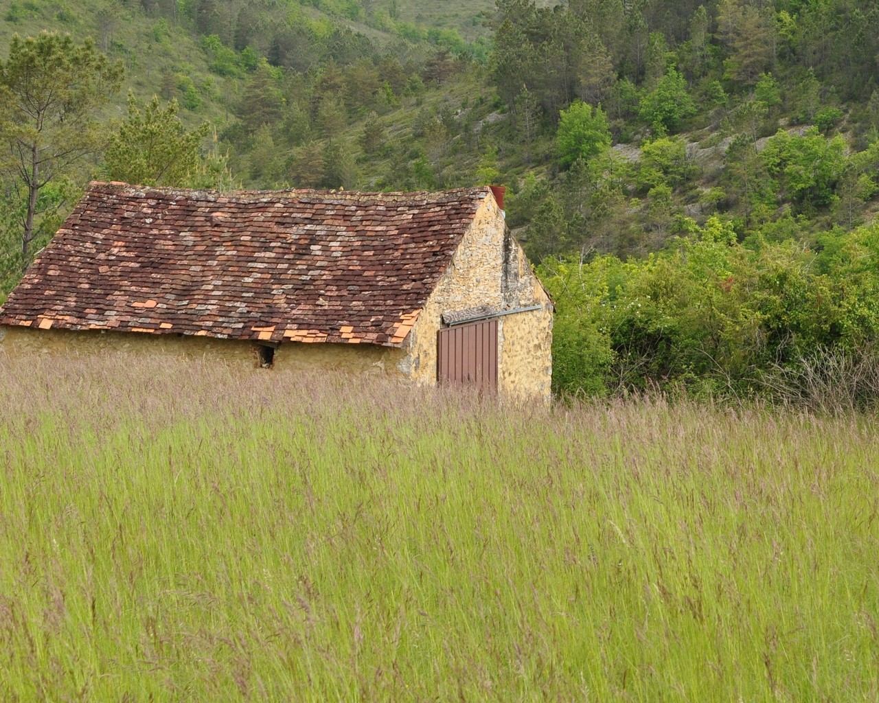 The lane down to the village bakery