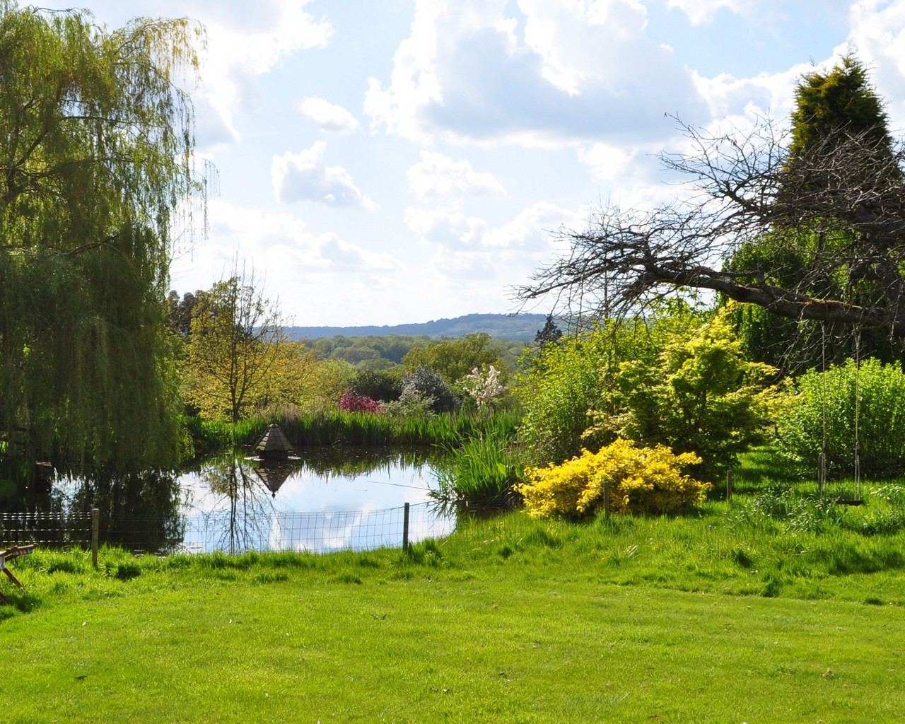 The duck pond and row boat
