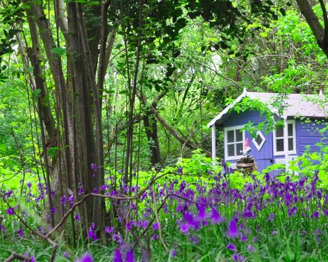 Willow Cottage: Seven dwarfs cottage in the woods
