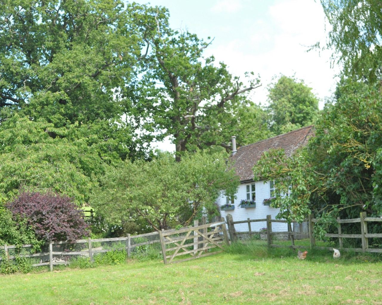 Willow Cottage