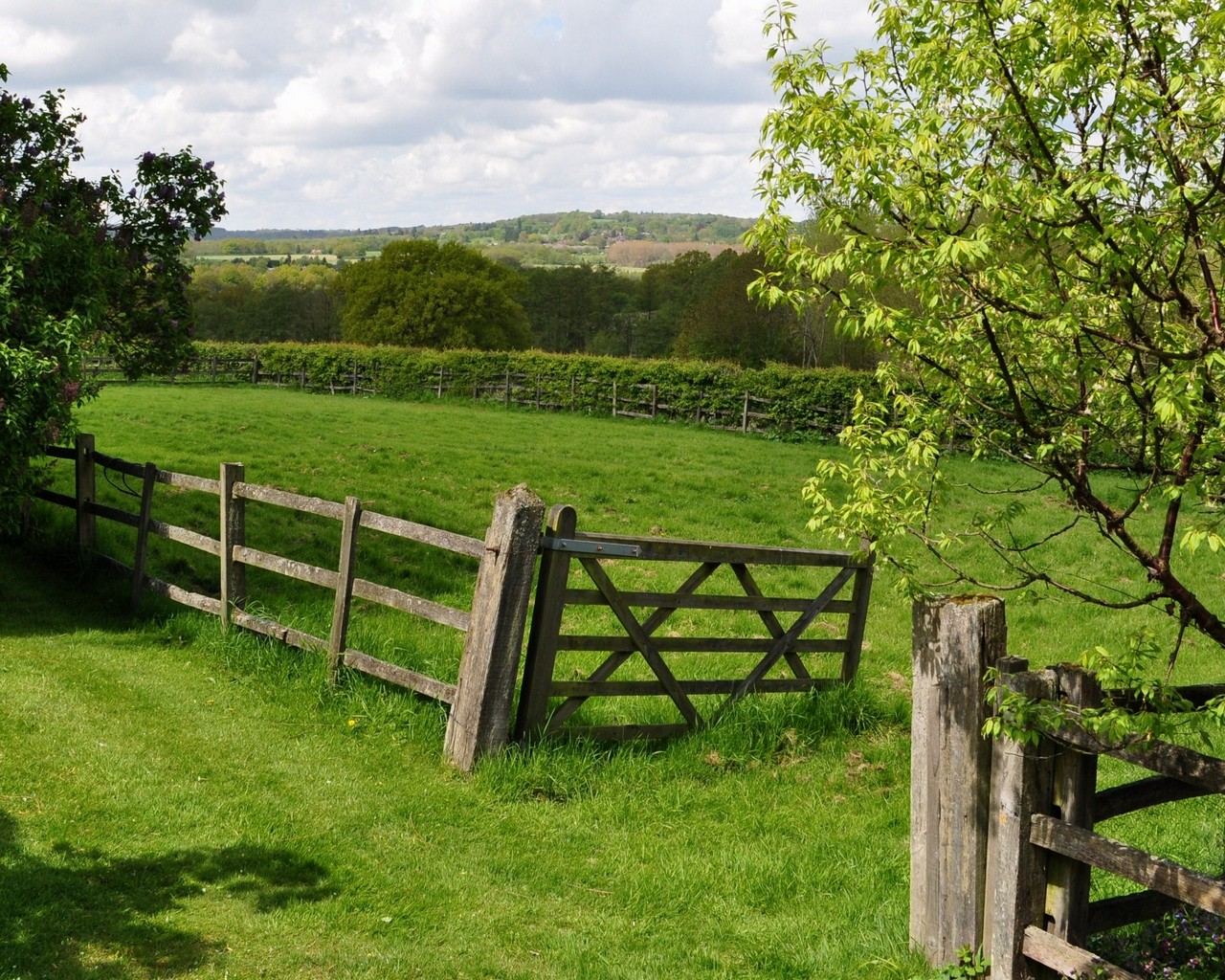 Willow Cottage: Willow cottage view