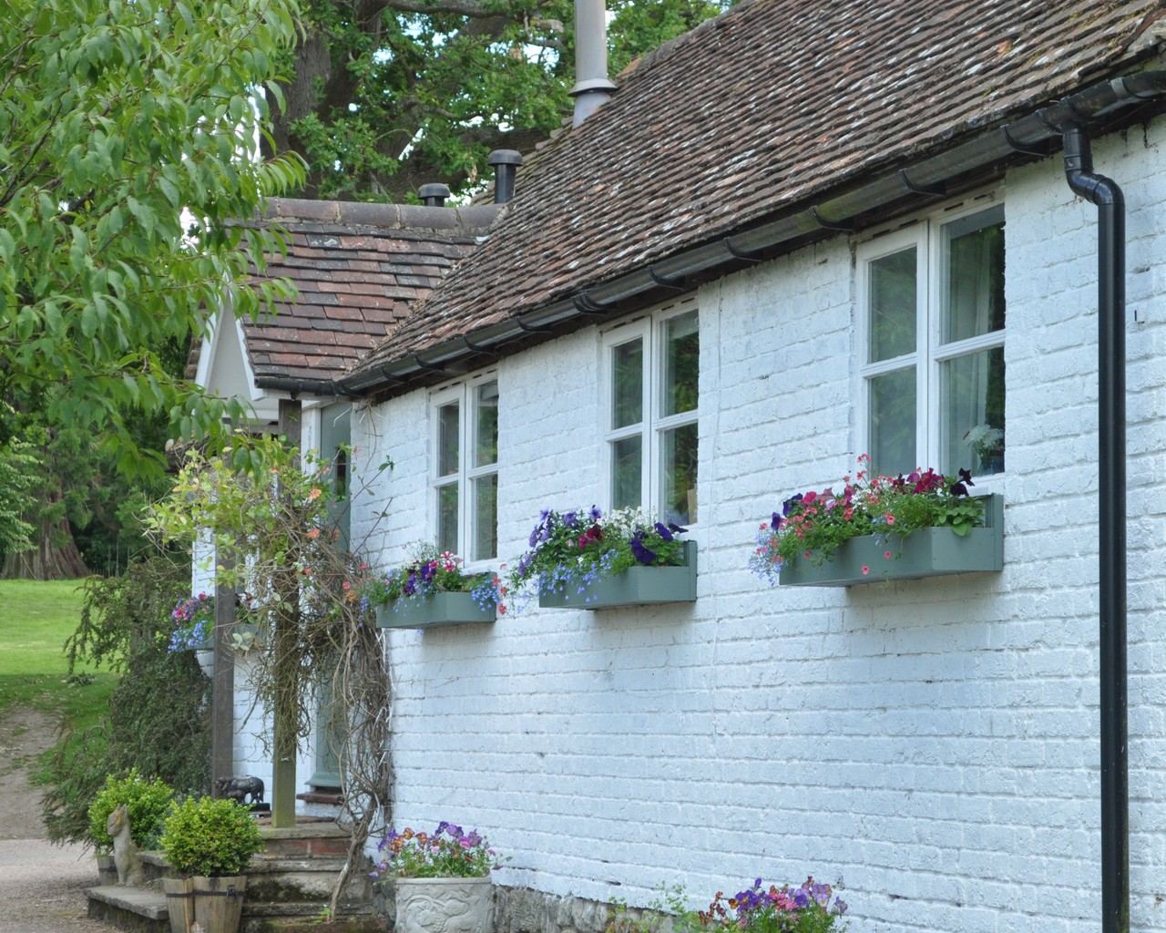 Willow Cottage